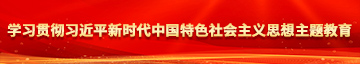 免费鸡巴网站学习贯彻习近平新时代中国特色社会主义思想主题教育